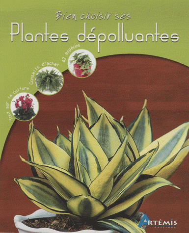 Bien choisir ses plantes d�polluantes