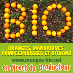 E414 : Additif alimentaire - Gomme arabique - Gomme d'acacia